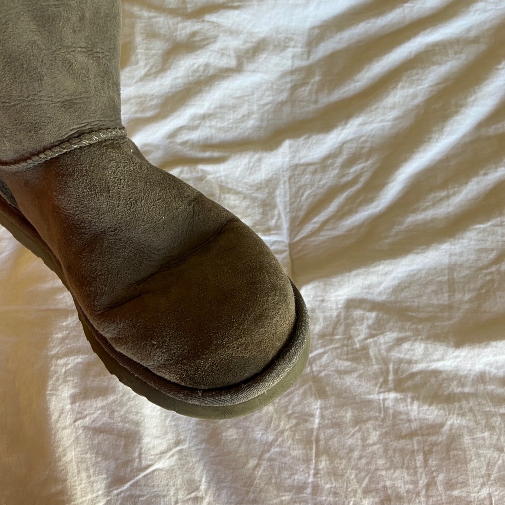 Gray Short Uggs - Picture 7 of 9